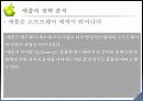 a+애플 마케팅 분석-뉴욕닉스 36페이지