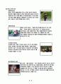외래어에 대한 한국어 번역, 해석 및 고찰 [ 바이크]  5페이지