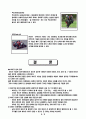외래어에 대한 한국어 번역, 해석 및 고찰 [ 바이크]  6페이지