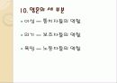 [철학] 플라톤 분석 16페이지