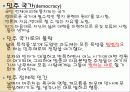 [철학] 플라톤 분석 23페이지