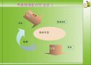 [간호이론] ADAPTATION MODEL 로이 이론 - 초점자극, 관련자극, 로이 이론 잔여자극 5페이지