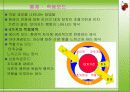 [간호이론] ADAPTATION MODEL 로이 이론 - 초점자극, 관련자극, 로이 이론 잔여자극 10페이지