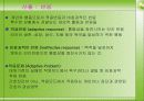 [간호이론] ADAPTATION MODEL 로이 이론 - 초점자극, 관련자극, 로이 이론 잔여자극 11페이지