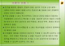 [간호이론] ADAPTATION MODEL 로이 이론 - 초점자극, 관련자극, 로이 이론 잔여자극 25페이지