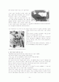 성범죄 관련 레포트 10페이지