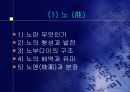 일본의 전통 예능과 예술  4페이지
