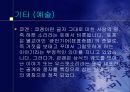 일본의 전통 예능과 예술  28페이지