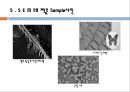 [기기분석및실험] SEM  9페이지