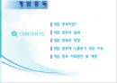 인터넷 중독  17페이지