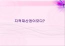 [사이버 공간과 윤리] 지적재산권  3페이지