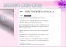 [사이버 공간과 윤리] 지적재산권  24페이지