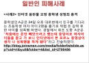 포르노 그라피 - 정의, 에로티시즘, 특징, 문제점, 청소년 미치는 영향, 피해사례 26페이지