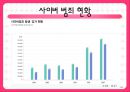사이버 범죄  3페이지