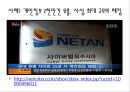 사이버 범죄  30페이지