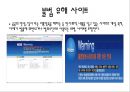 사이버 범죄  45페이지