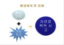 철도여행의 역사  21페이지