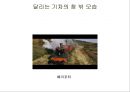 철도여행의 역사  36페이지