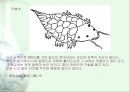 [신화와예술] 중국의 신화  21페이지