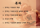 조별발표자료- 장애인 이동권  2페이지