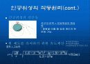 인공위성에 대해서.. - 인공위성의 역사(ppt) 27페이지