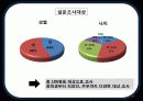 삼성 디지털 카메라(SAMSUNG DIGITAL CAMERA) Consumer Behavior 10페이지