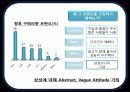 삼성 디지털 카메라(SAMSUNG DIGITAL CAMERA) Consumer Behavior 12페이지