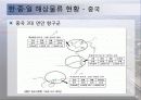 동북아 물류체계 현황과 발전방안 26페이지