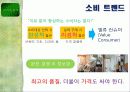 이니스프리 활성화 전략 11페이지