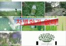 이니스프리 활성화 전략 17페이지