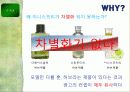 이니스프리 활성화 전략 19페이지