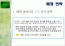 이니스프리 활성화 전략 28페이지