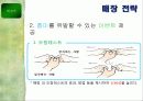 이니스프리 활성화 전략 29페이지