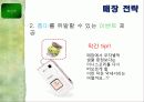 이니스프리 활성화 전략 30페이지