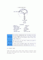 [현대인의 스트레스] 스트레스의 개념과 원인, 증상, 질병, 대처방안(예방전략) 9페이지
