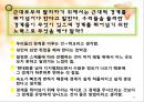 나비와 전사  45페이지
