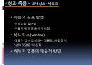 죽음의 역사  17페이지