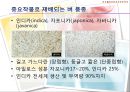 기후변화가 농가의 벼 경영비에 미치는 영향 (C3 식물, C4 식물) 9페이지