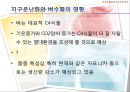 기후변화가 농가의 벼 경영비에 미치는 영향 (C3 식물, C4 식물) 13페이지