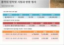 중국의 인터넷 시장과 반한정서 7페이지