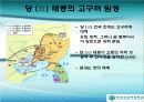 수당 세계 제국의성립과 발전 17페이지