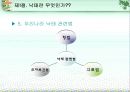 낙태문제  14페이지