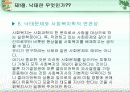 낙태문제  15페이지