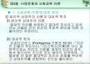 낙태문제  18페이지