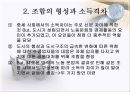 독일 중세 말 발달사  6페이지