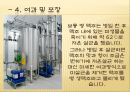 맥주에 대하여 13페이지