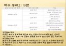 맥주에 대하여 15페이지
