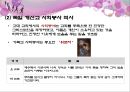독일의 사회(복지) 정책, 그 첫 단추를 꿰다  7페이지