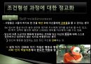 사회인지 학습 이론 [앨버트 반두라, 조건형성 과정 정교화, 관찰학습, 인지 사회적 학습 표출, 행동 문제, 행동 변화, 사회인지 학습이론 문제점, 사회인지 학습이론 전망, 사회인지 학습이론 ppt] 5페이지