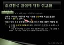 사회인지 학습 이론 [앨버트 반두라, 조건형성 과정 정교화, 관찰학습, 인지 사회적 학습 표출, 행동 문제, 행동 변화, 사회인지 학습이론 문제점, 사회인지 학습이론 전망, 사회인지 학습이론 ppt] 9페이지